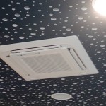 Stomat_IMG_20160205_092119